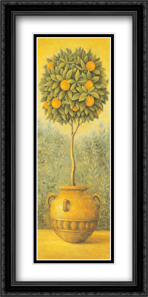 Lemon Topiary 20x40 Black Ornate Wood Framed Art Print Poster with Double Matting by Park, John