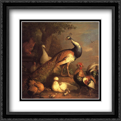 Peacock Peahen and Poultry 28x28 Black Ornate Wood Framed Art Print Poster with Double Matting by Stranover, Tobias