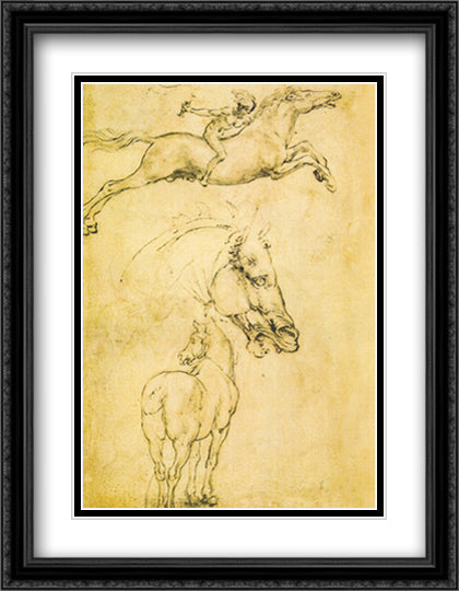 Sketch of a Horse 28x36 Black Ornate Wood Framed Art Print Poster with Double Matting by da Vinci, Leonardo