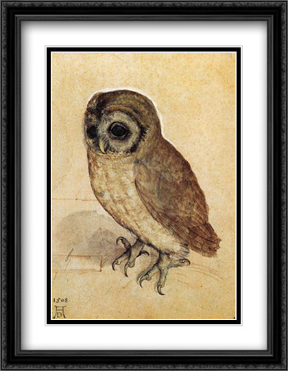 Little Owl, c.1508 28x36 Black Ornate Wood Framed Art Print Poster with Double Matting by Durer, Albrecht