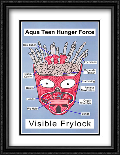 Aqua Teen Frylock 28x40 Black Ornate Wood Framed Movie Poster with Double Matting