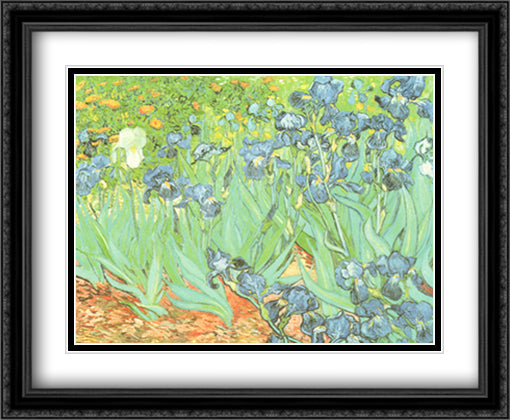 Irises in the Garden 34x28 Black Ornate Wood Framed Art Print Poster with Double Matting by Van Gogh, Vincent