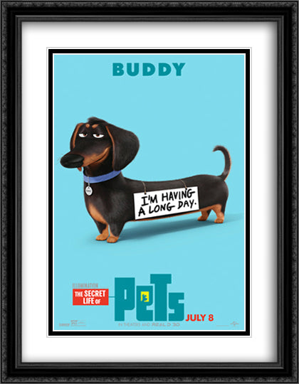 The Secret Life of Pets 28x36 Black Ornate Wood Framed Movie Poster with Double Matting