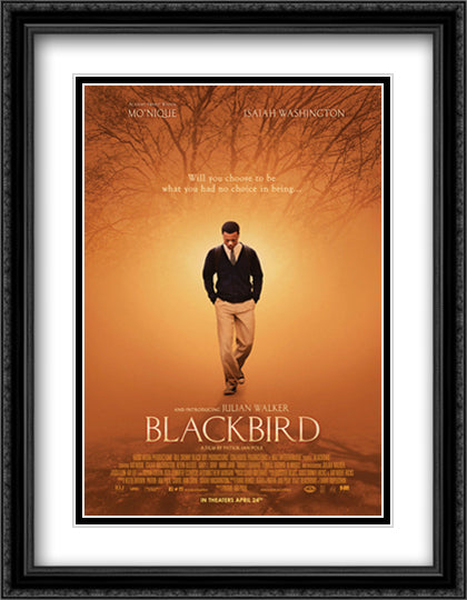 Blackbird 28x36 Black Ornate Wood Framed Movie Poster with Double Matting