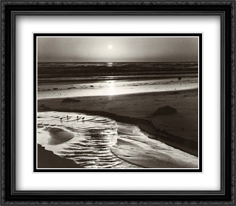 Birds on a Beach 32x28 Black Ornate Wood Framed Art Print Poster with Double Matting by Adams, Ansel