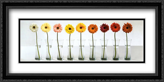Gerbera Spectrum 40x16 Black Ornate Wood Framed Art Print Poster with Double Matting