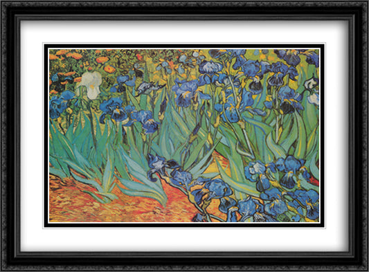 Irises, Saint-Remy, c.1889 40x28 Black Ornate Wood Framed Art Print Poster with Double Matting by Van Gogh, Vincent