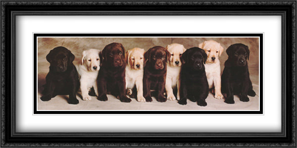 Doggie Line Up 40x28 Black Ornate Wood Framed Art Print Poster with Double Matting