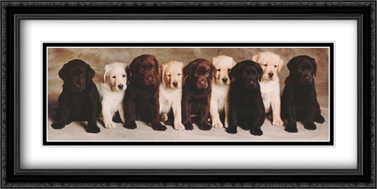 Doggie Line Up 40x28 Black Ornate Wood Framed Art Print Poster with Double Matting