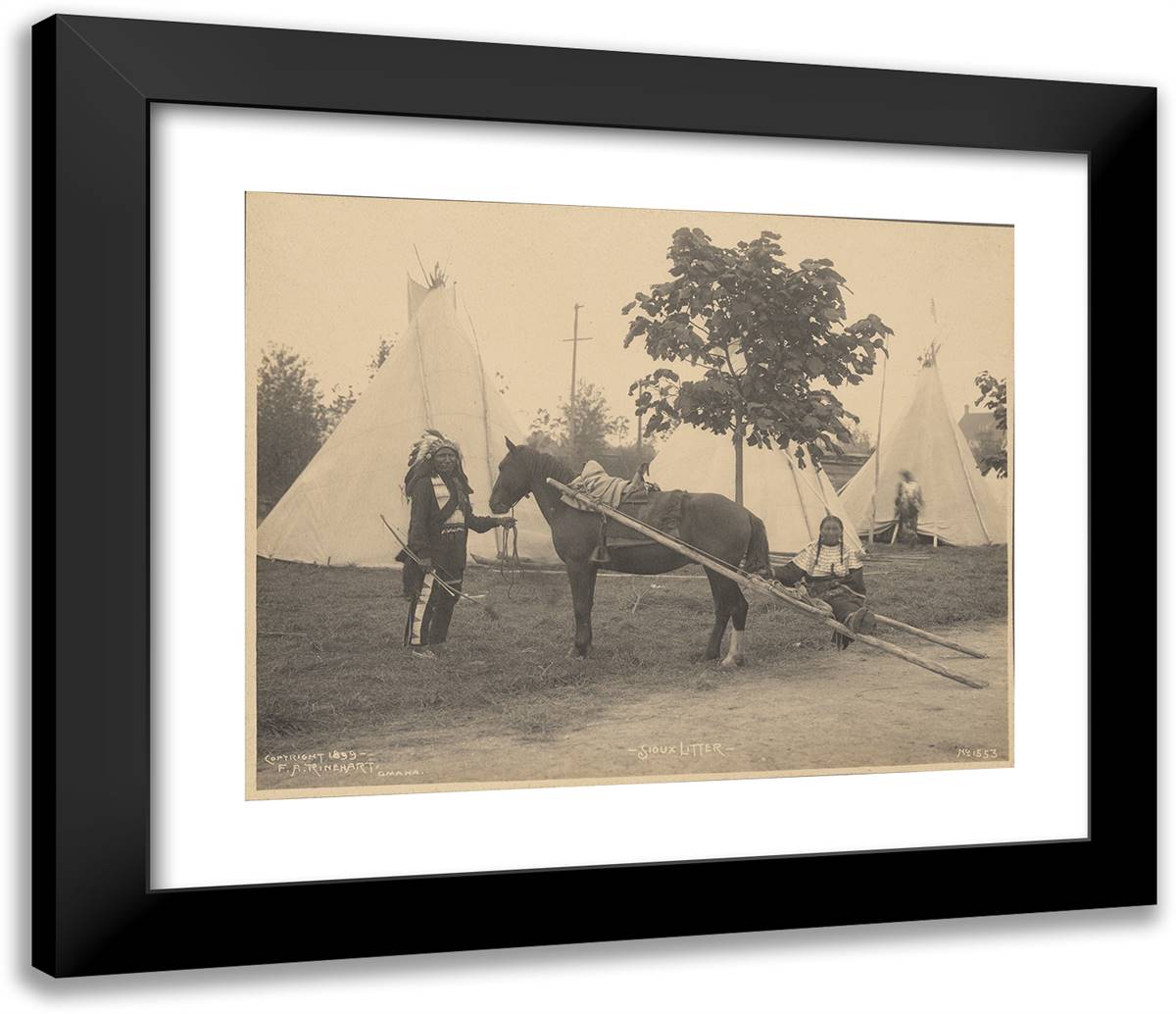 Sioux Litter 23x20 Black Modern Wood Framed Art Print Poster by Muhr, Adolph F.