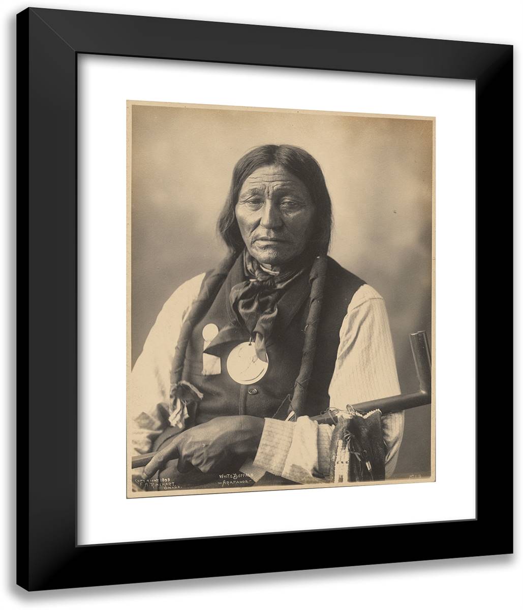 White Buffalo, Arapahoe 20x24 Black Modern Wood Framed Art Print Poster by Muhr, Adolph F.