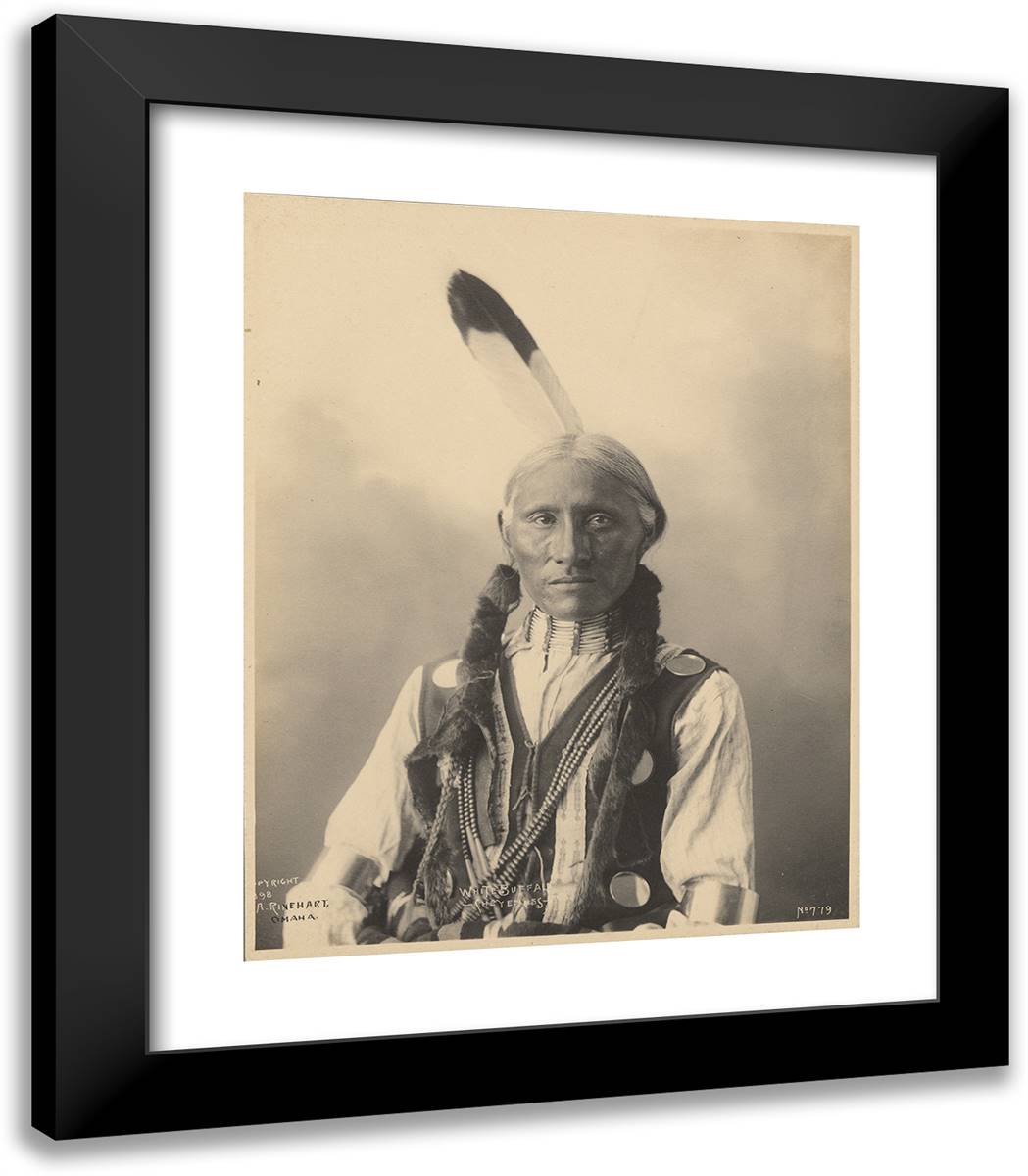 White Buffalo, Cheyennes 20x23 Black Modern Wood Framed Art Print Poster by Muhr, Adolph F.