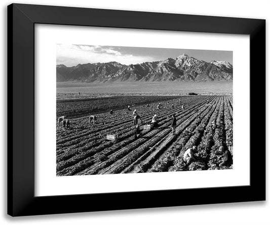 Farm, Farm Workers, Mt. Williamson in Background, Manzanar Relocation Center, California 24x20 Black Modern Wood Framed Art Print Poster by Adams, Ansel