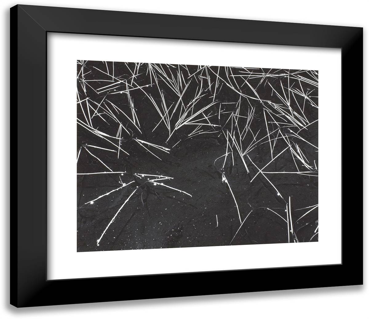 Grass and Pool 23x20 Black Modern Wood Framed Art Print Poster by Adams, Ansel