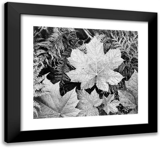 In Glacier National Park 22x20 Black Modern Wood Framed Art Print Poster by Adams, Ansel