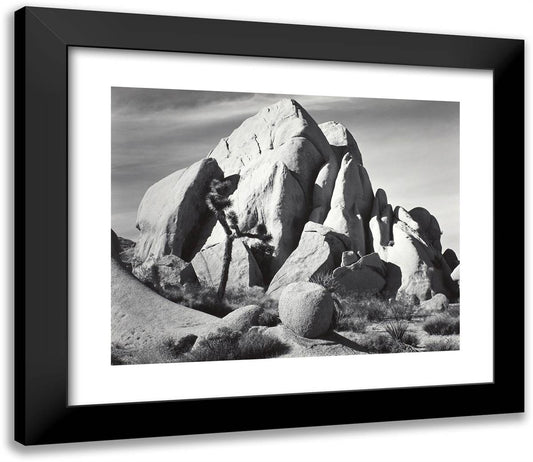 In Joshua Tree National Monument, California 23x20 Black Modern Wood Framed Art Print Poster by Adams, Ansel