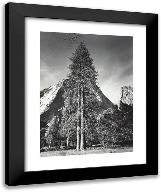 Trees and Cliffs, Yosemite National Park 20x24 Black Modern Wood Framed Art Print Poster by Adams, Ansel