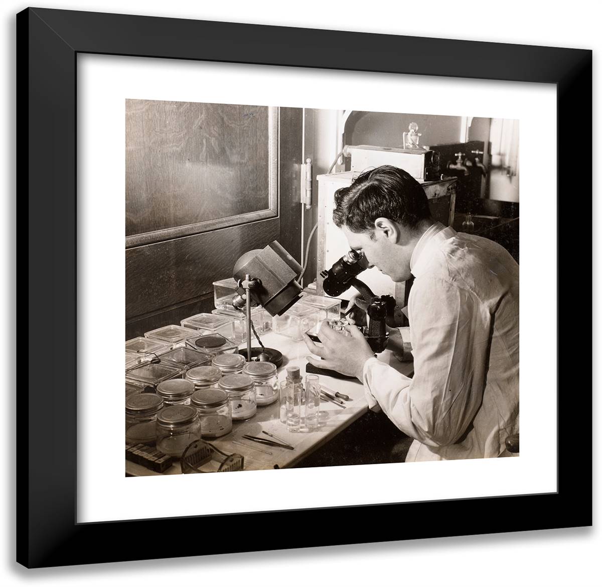 Man Looks at a Petri Dish Through a Microscope 21x20 Black Modern Wood Framed Art Print Poster by Eagle, Arnold