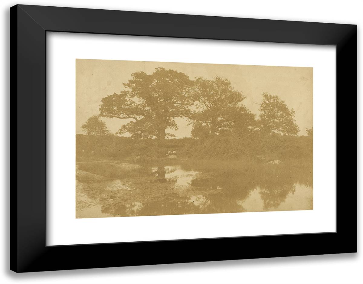Foret De Fontainebleau 24x19 Black Modern Wood Framed Art Print Poster by Marville, Charles