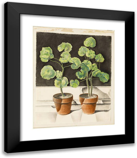 Geraniums, Pots, Spaces 20x23 Black Modern Wood Framed Art Print Poster by Sheeler, Charles