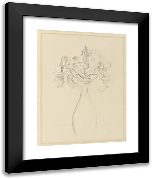 Tiger Lilies 20x24 Black Modern Wood Framed Art Print Poster by Sheeler, Charles