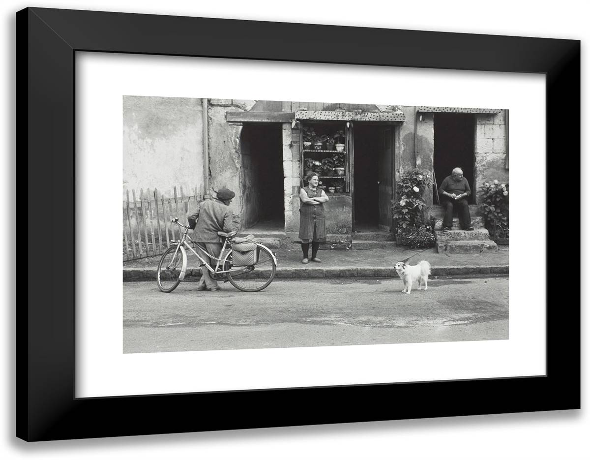 Loire Valley, France 24x19 Black Modern Wood Framed Art Print Poster by Erwitt, Elliot