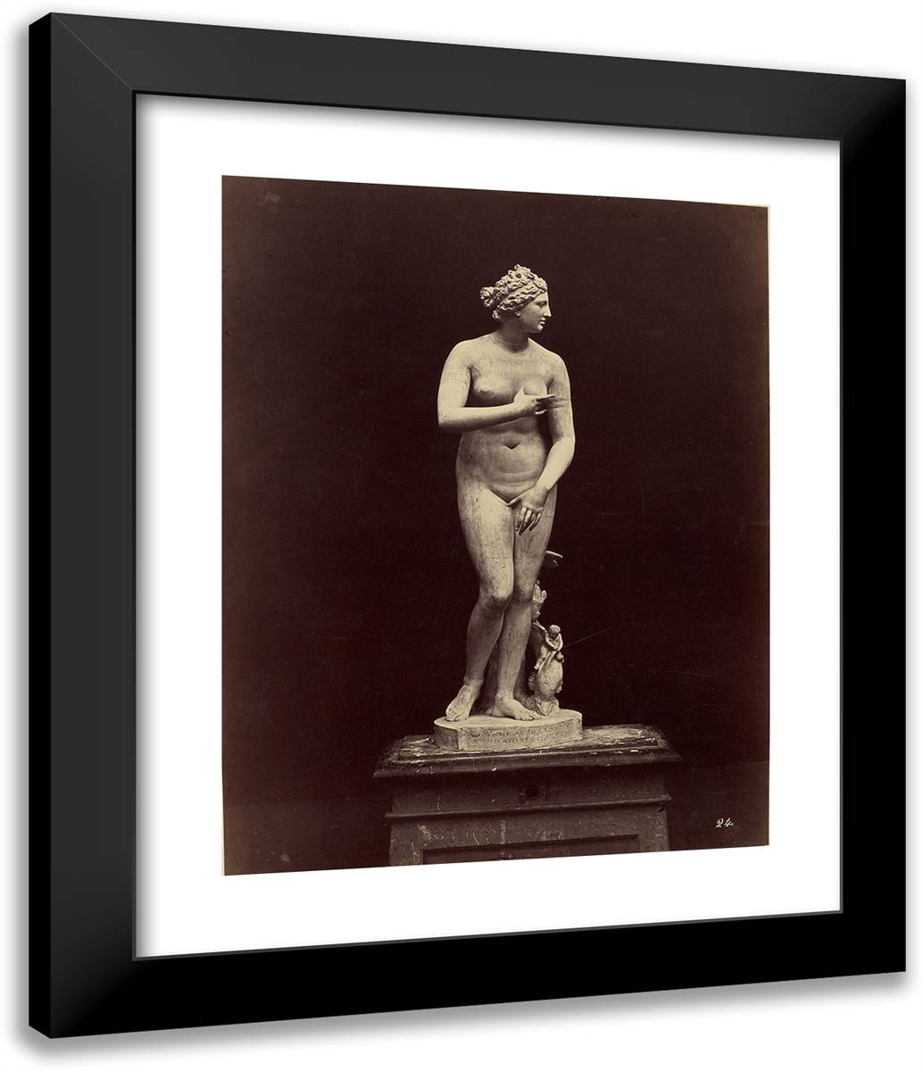 Venus Di Medici 20x24 Black Modern Wood Framed Art Print Poster by Alinari, Fratelli