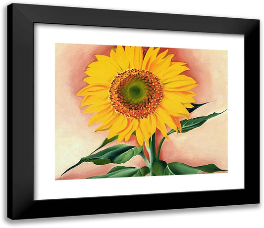 A Sunflower from Maggie 23x20 Black Modern Wood Framed Art Print Poster by O'Keeffe, Georgia
