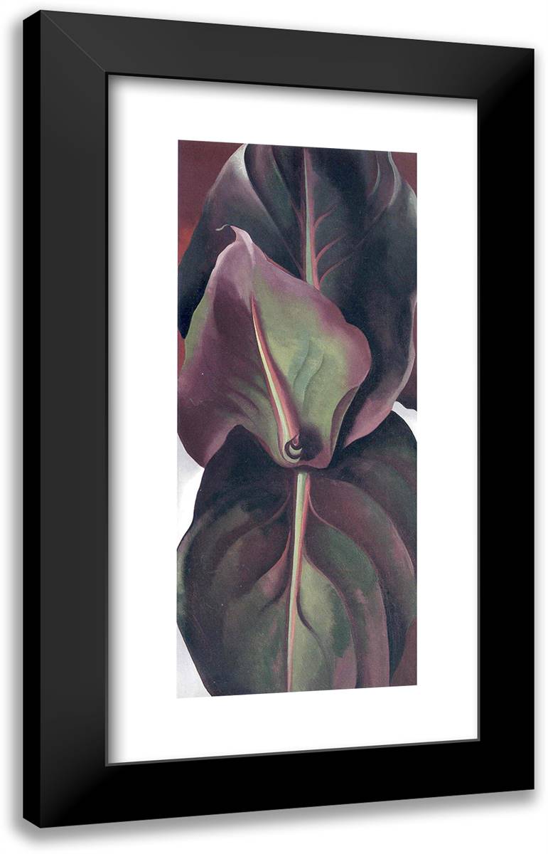 Canna Leaves 14x24 Black Modern Wood Framed Art Print Poster by O'Keeffe, Georgia