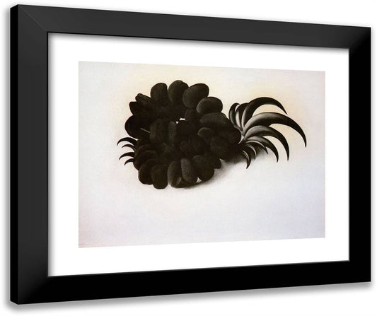 Eagle Claw and Bean Necklace 24x20 Black Modern Wood Framed Art Print Poster by O'Keeffe, Georgia