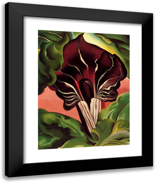 Jack-In-The-Pulpit II 20x24 Black Modern Wood Framed Art Print Poster by O'Keeffe, Georgia