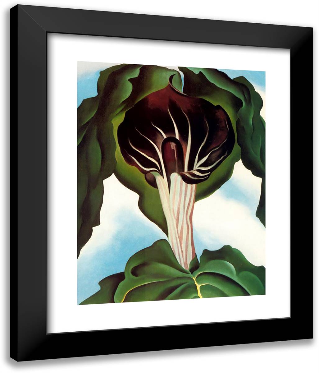 Jack-In-The-Pulpit III 20x24 Black Modern Wood Framed Art Print Poster by O'Keeffe, Georgia