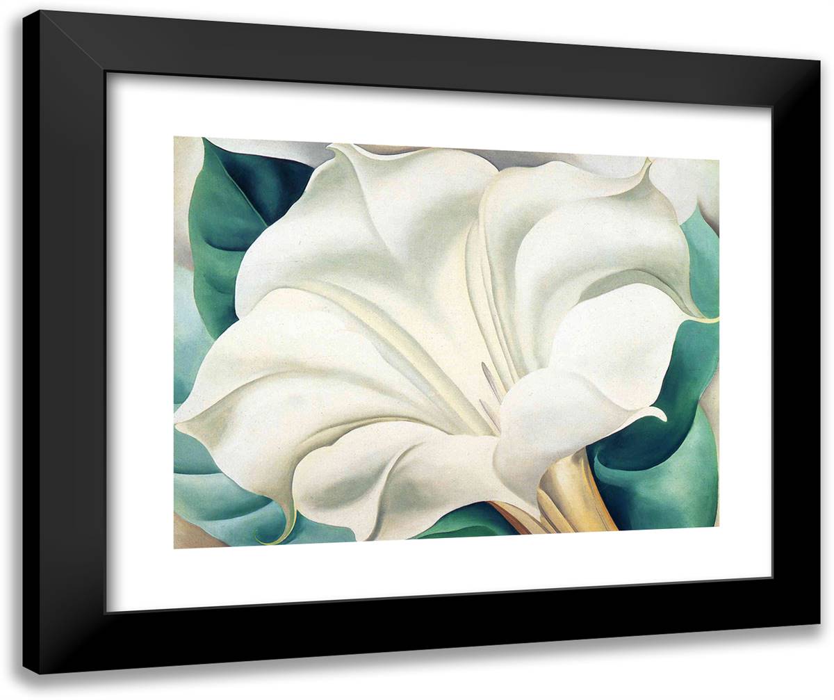 Jimson Weed 2 24x20 Black Modern Wood Framed Art Print Poster by O'Keeffe, Georgia
