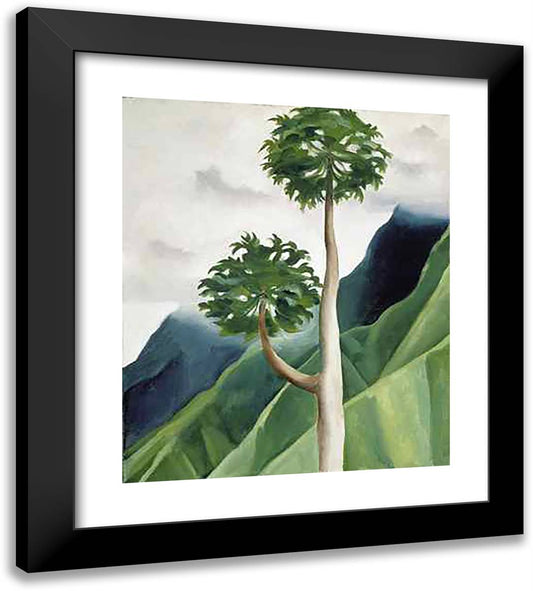 Papaya Tree-Iao Valley 20x22 Black Modern Wood Framed Art Print Poster by O'Keeffe, Georgia