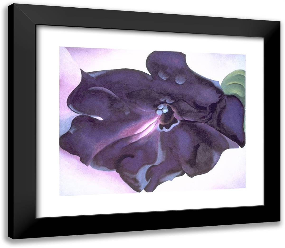 Petunia 23x20 Black Modern Wood Framed Art Print Poster by O'Keeffe, Georgia