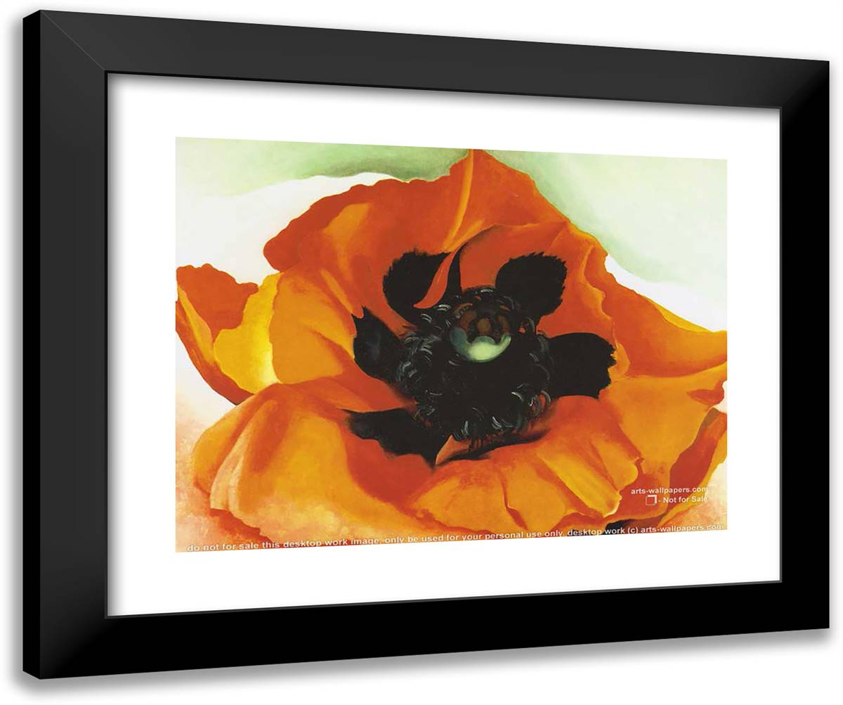 Poppy 4 24x20 Black Modern Wood Framed Art Print Poster by O'Keeffe, Georgia