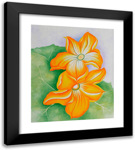 Squash Blossoms 20x22 Black Modern Wood Framed Art Print Poster by O'Keeffe, Georgia