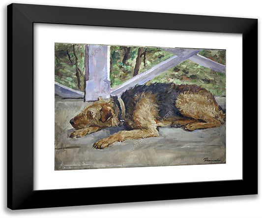 Airedale on the Balcony 24x20 Black Modern Wood Framed Art Print Poster by Konchalovsky, Piotr