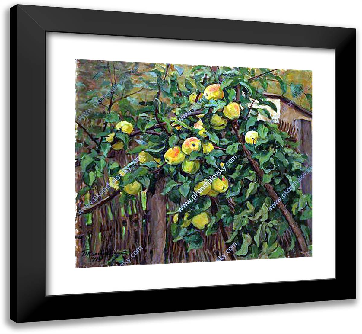 Apple Tree by the Fence 22x20 Black Modern Wood Framed Art Print Poster by Konchalovsky, Piotr