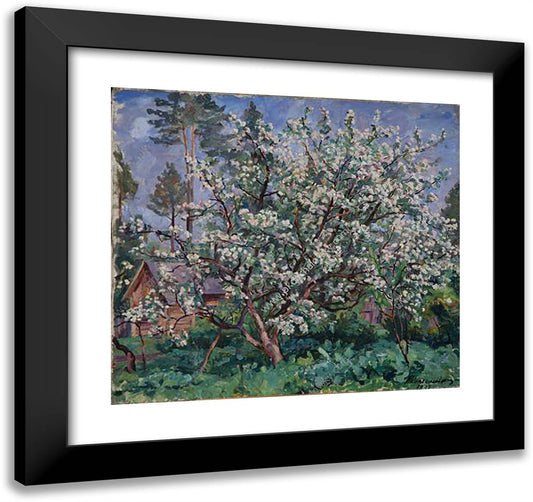 Apple Tree in Bloom 21x20 Black Modern Wood Framed Art Print Poster by Konchalovsky, Piotr