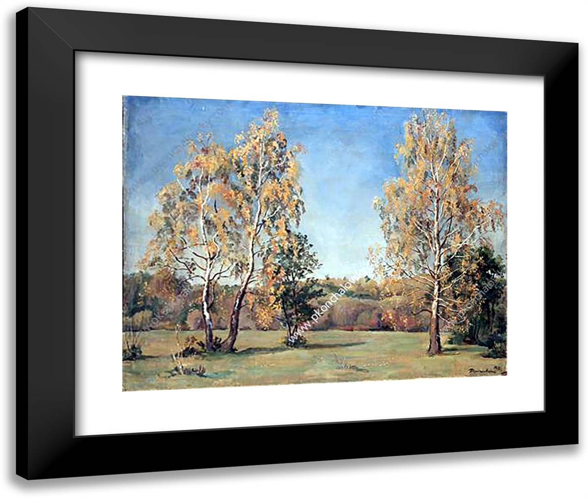 Autumn. Birches. 24x20 Black Modern Wood Framed Art Print Poster by Konchalovsky, Piotr