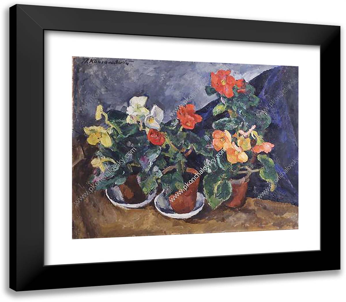 Begonias 23x20 Black Modern Wood Framed Art Print Poster by Konchalovsky, Piotr