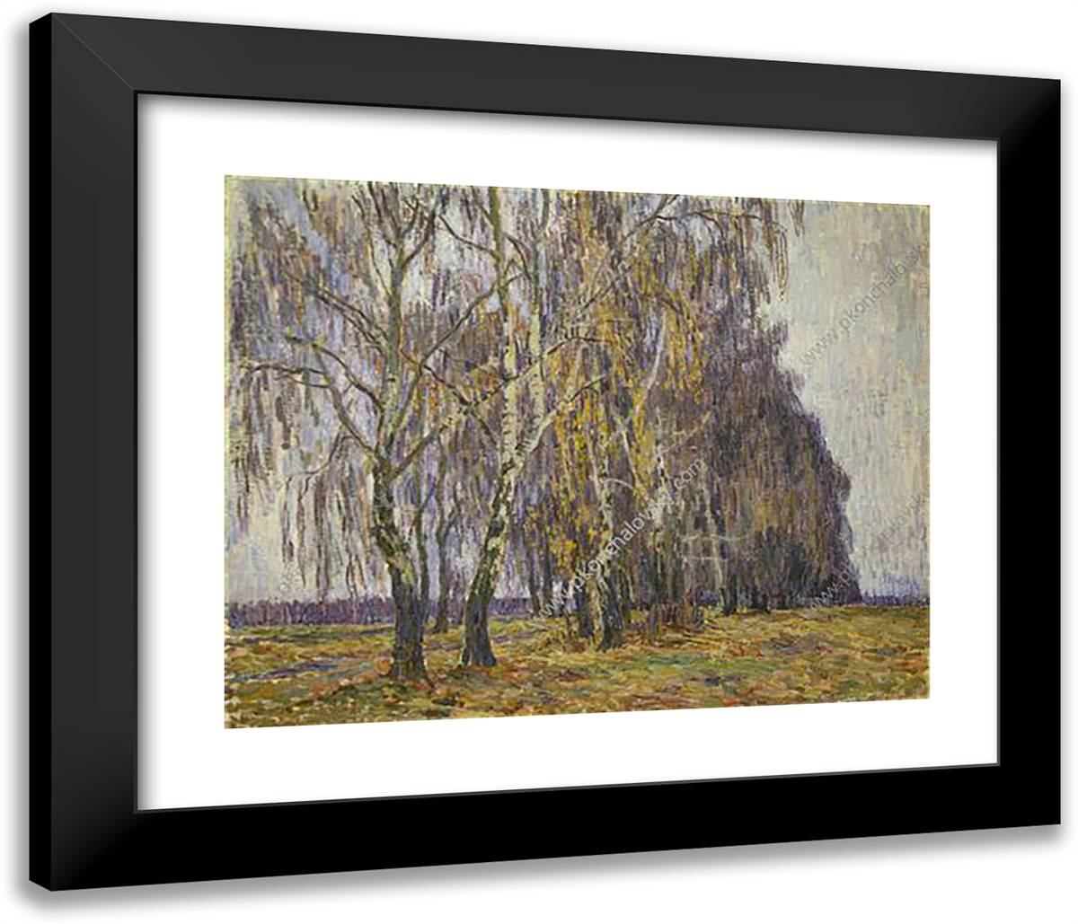 Belkino. Birches. 23x20 Black Modern Wood Framed Art Print Poster by Konchalovsky, Piotr