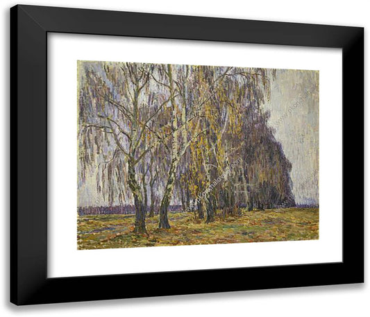 Belkino. Birches. 23x20 Black Modern Wood Framed Art Print Poster by Konchalovsky, Piotr