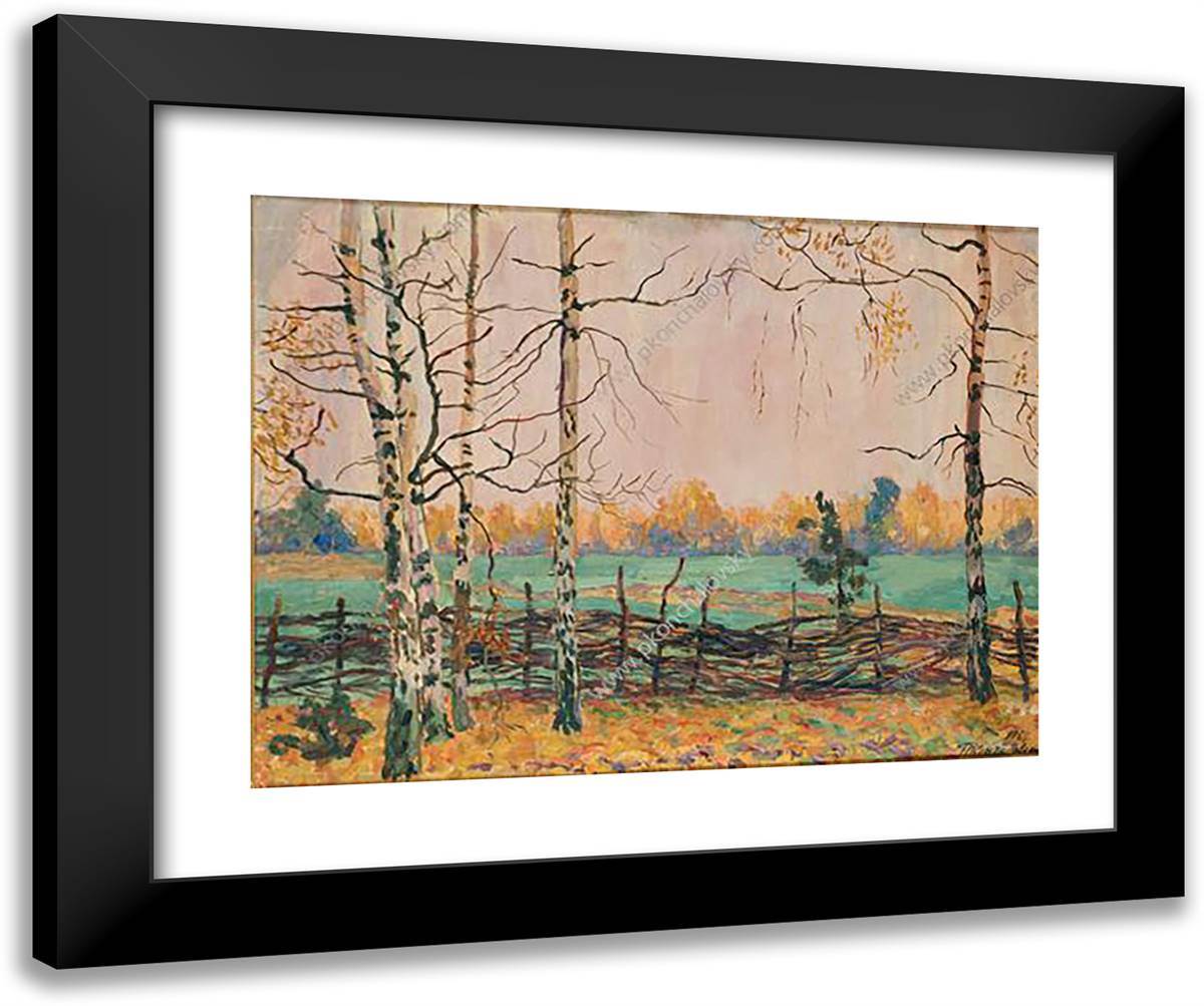 Birch Trees by the Fence 24x20 Black Modern Wood Framed Art Print Poster by Konchalovsky, Piotr