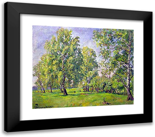 Birch Trees in Early Spring 23x20 Black Modern Wood Framed Art Print Poster by Konchalovsky, Piotr