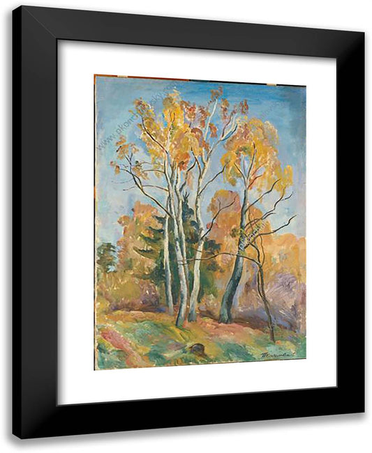 Birches in Autumn 19x24 Black Modern Wood Framed Art Print Poster by Konchalovsky, Piotr