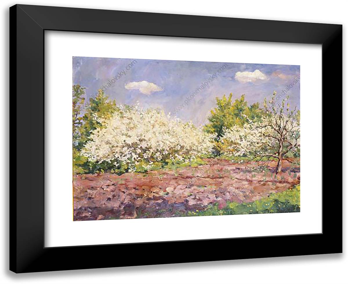 Cherry Blossoms 24x20 Black Modern Wood Framed Art Print Poster by Konchalovsky, Piotr