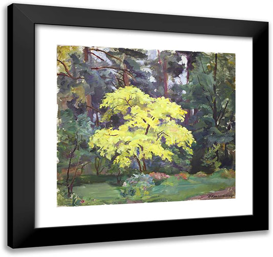 Corkwood 21x20 Black Modern Wood Framed Art Print Poster by Konchalovsky, Piotr