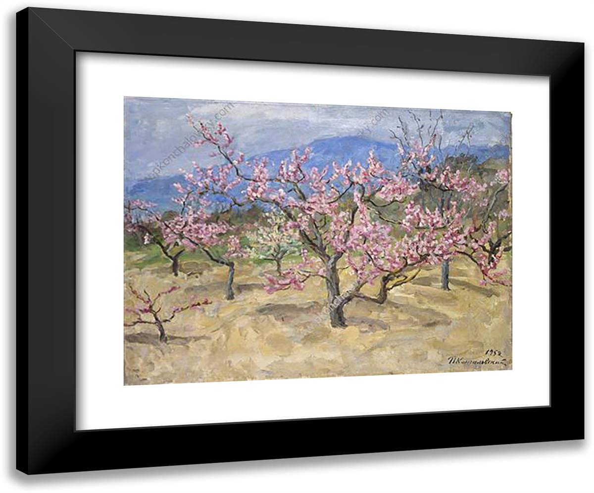 Crimea. Blooming Peach Tree. 24x20 Black Modern Wood Framed Art Print Poster by Konchalovsky, Piotr